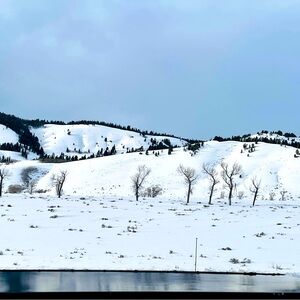 Meet your Posher, Lucy